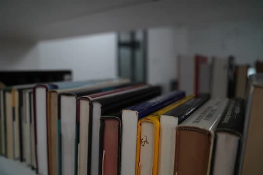 Online Public Access Catalog